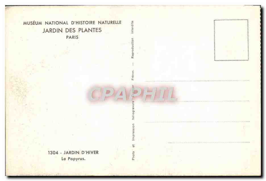 CPA Paris Museum National D'Histoire Naturelle Jardin des Plantes Jardin d'hiver Le papyrus — Rückseite