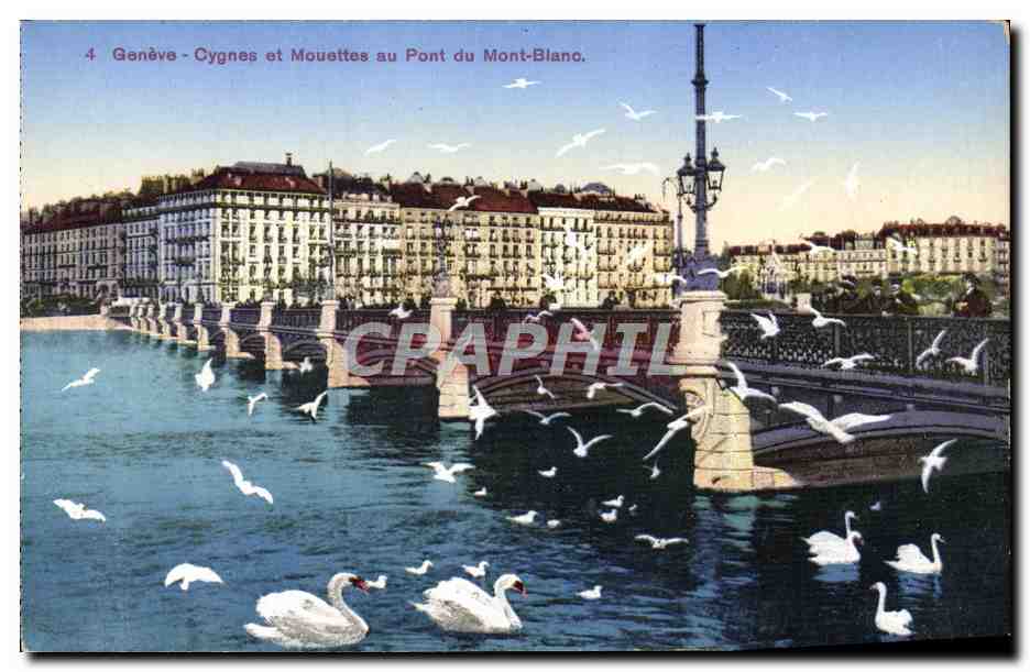 CPA Geneve Cygnes et Mouettes au Pont du Mont Blanc
