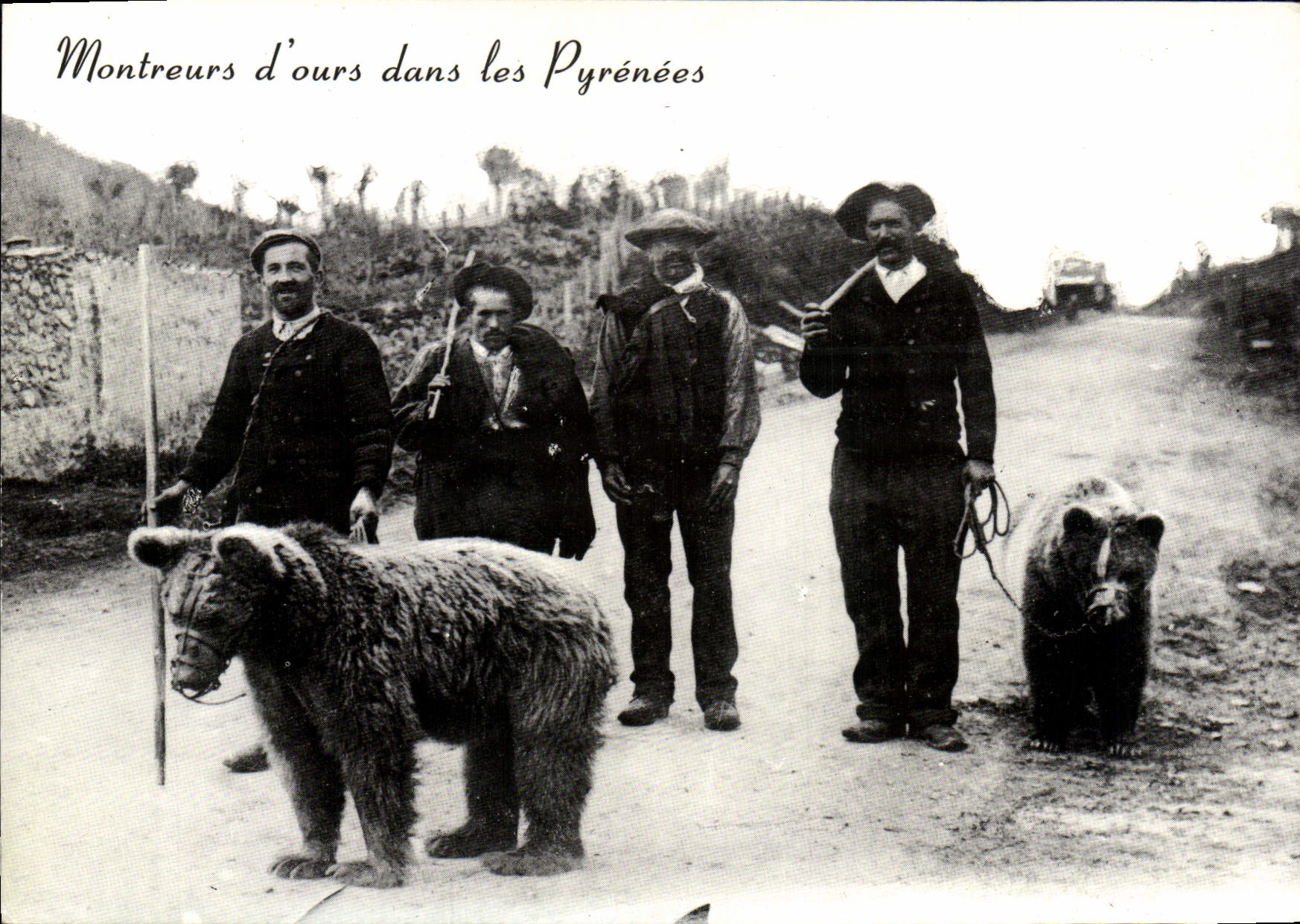 REPRO Montreurs d'ours dans les Pyrenees Ours Folklore