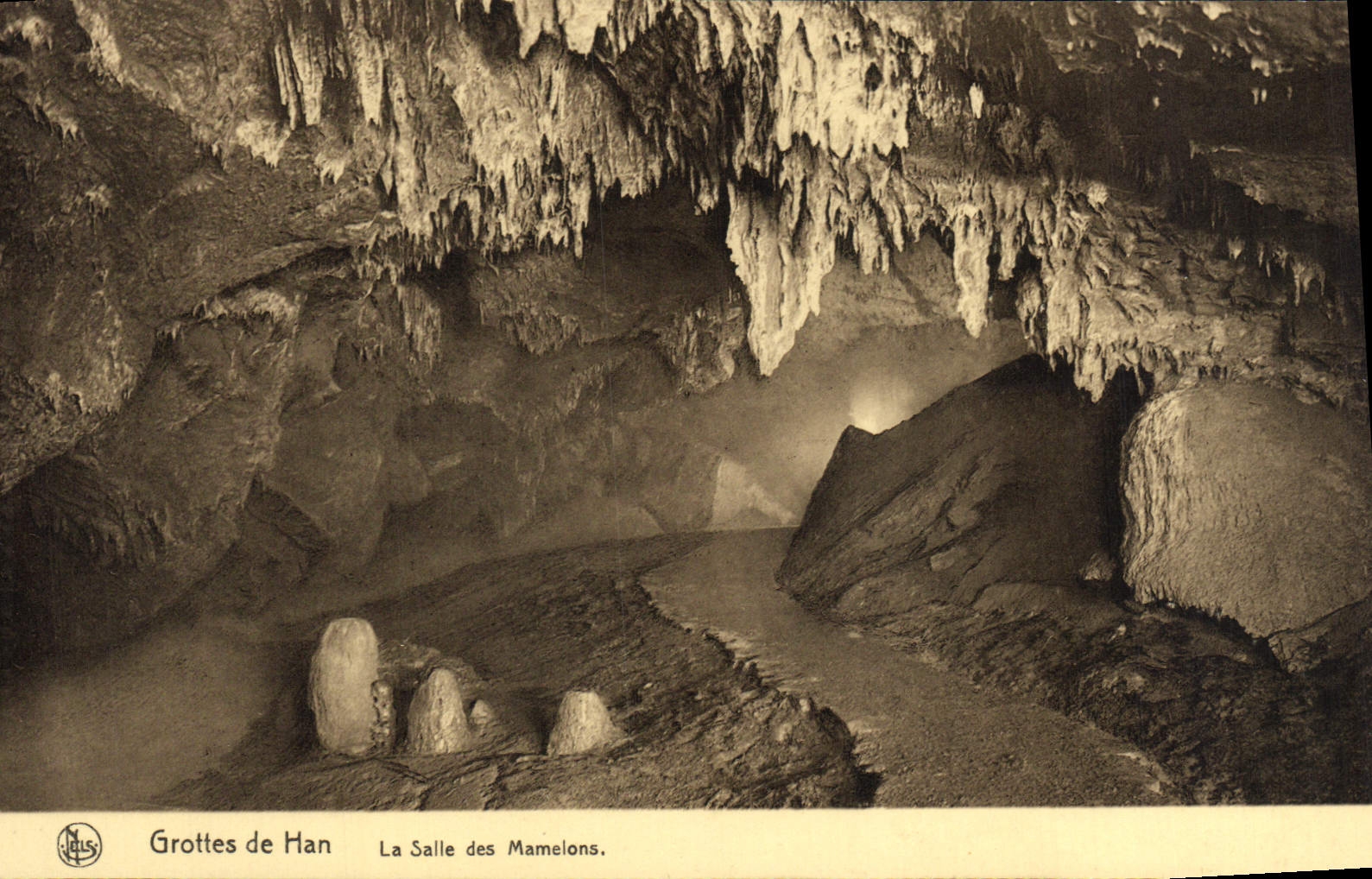 CPA Grottes de Han La Salle des Mamelons