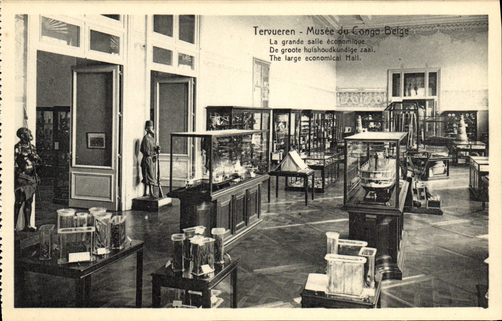 Tervueren - Musée du Congo Belge — La grande salle économique — éditeur Nels, Bruxelles