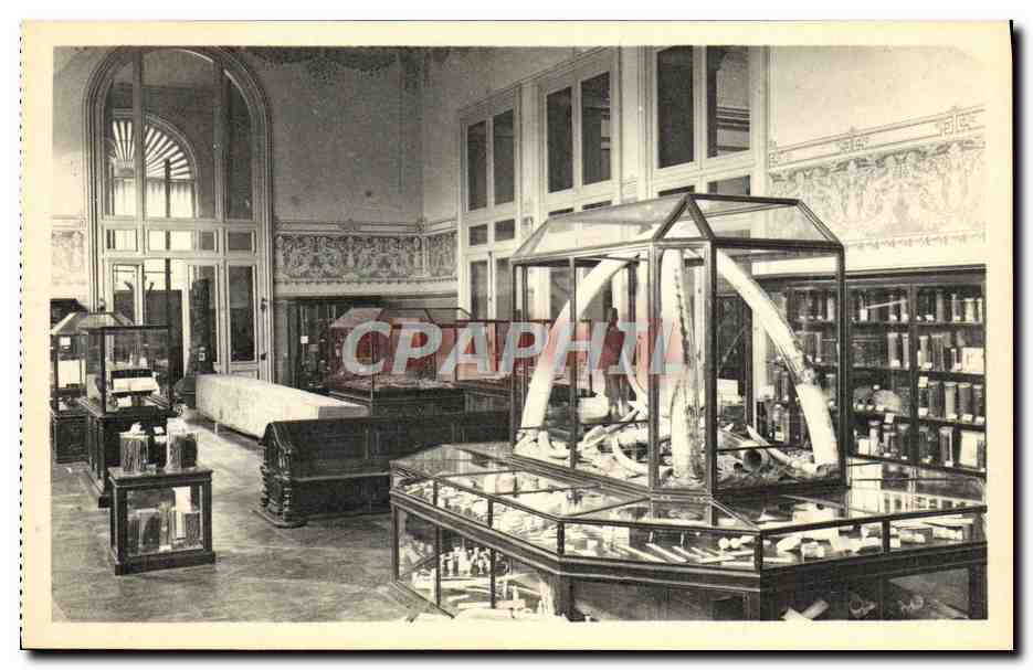 Galerie économique - Musée du Congo Belge — Le groupe du travail de l'ivoire