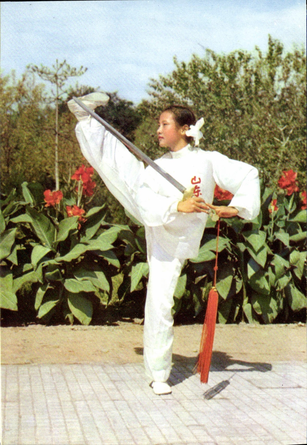 CPA Pie En Brindille Sport en Chine China