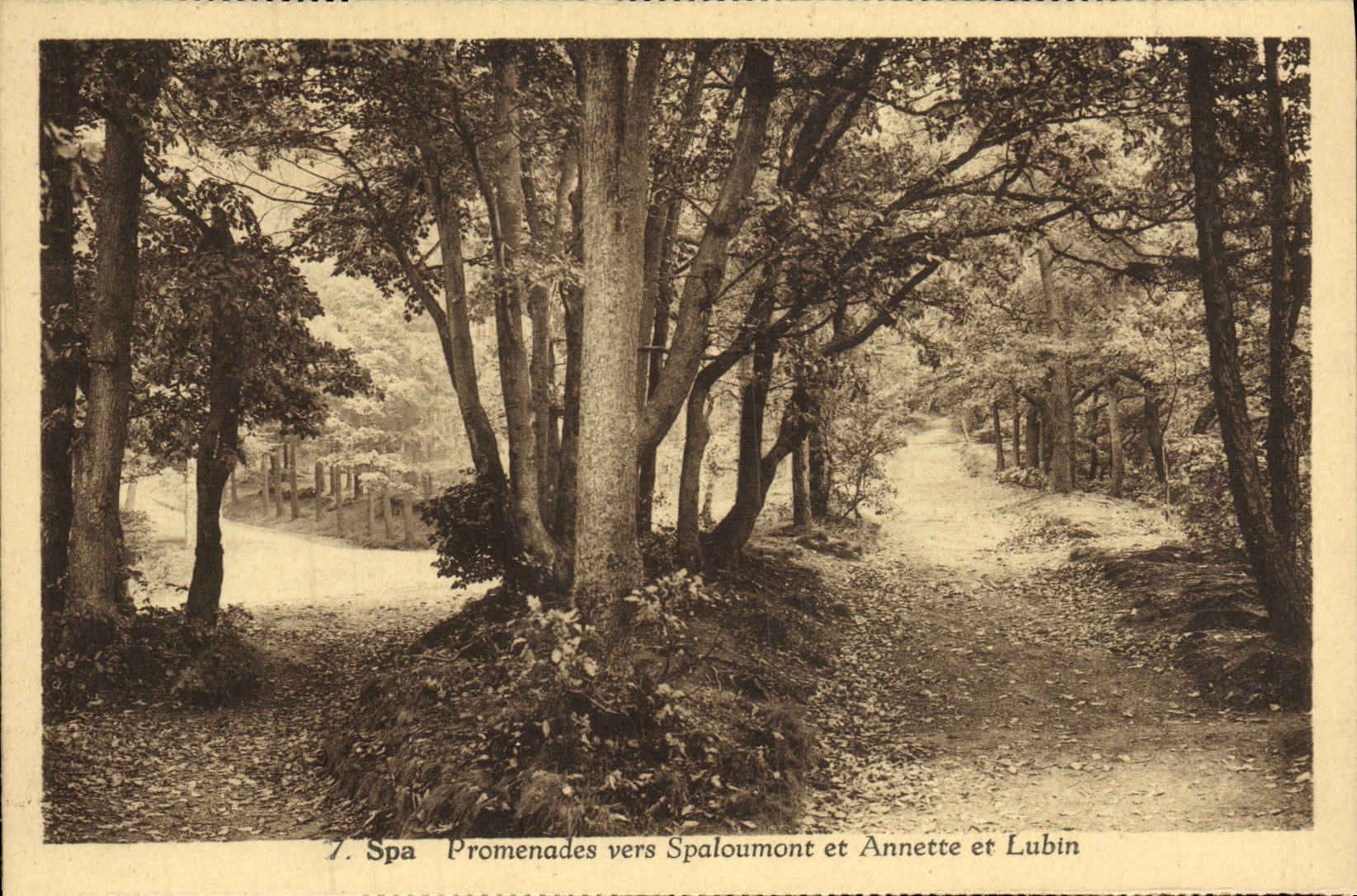 CPA Spa Promenades Vers Spaloumont Et Annette Et Lubin