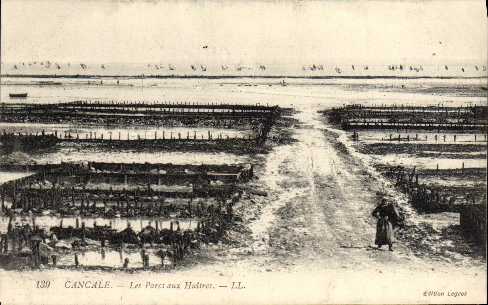 CPA Cancale Les Parcs Aux Huitres Ostreiculture 