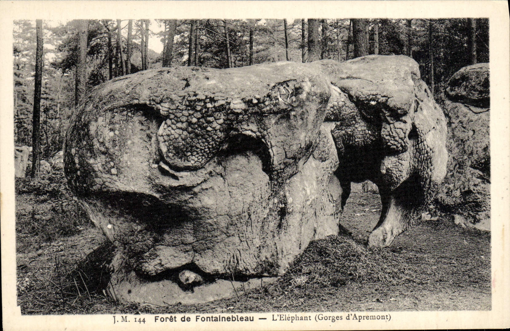 Bosque de Fontainebleau — El Elefante (Gorges d'Apremont) — J.M. 144 - Anverso