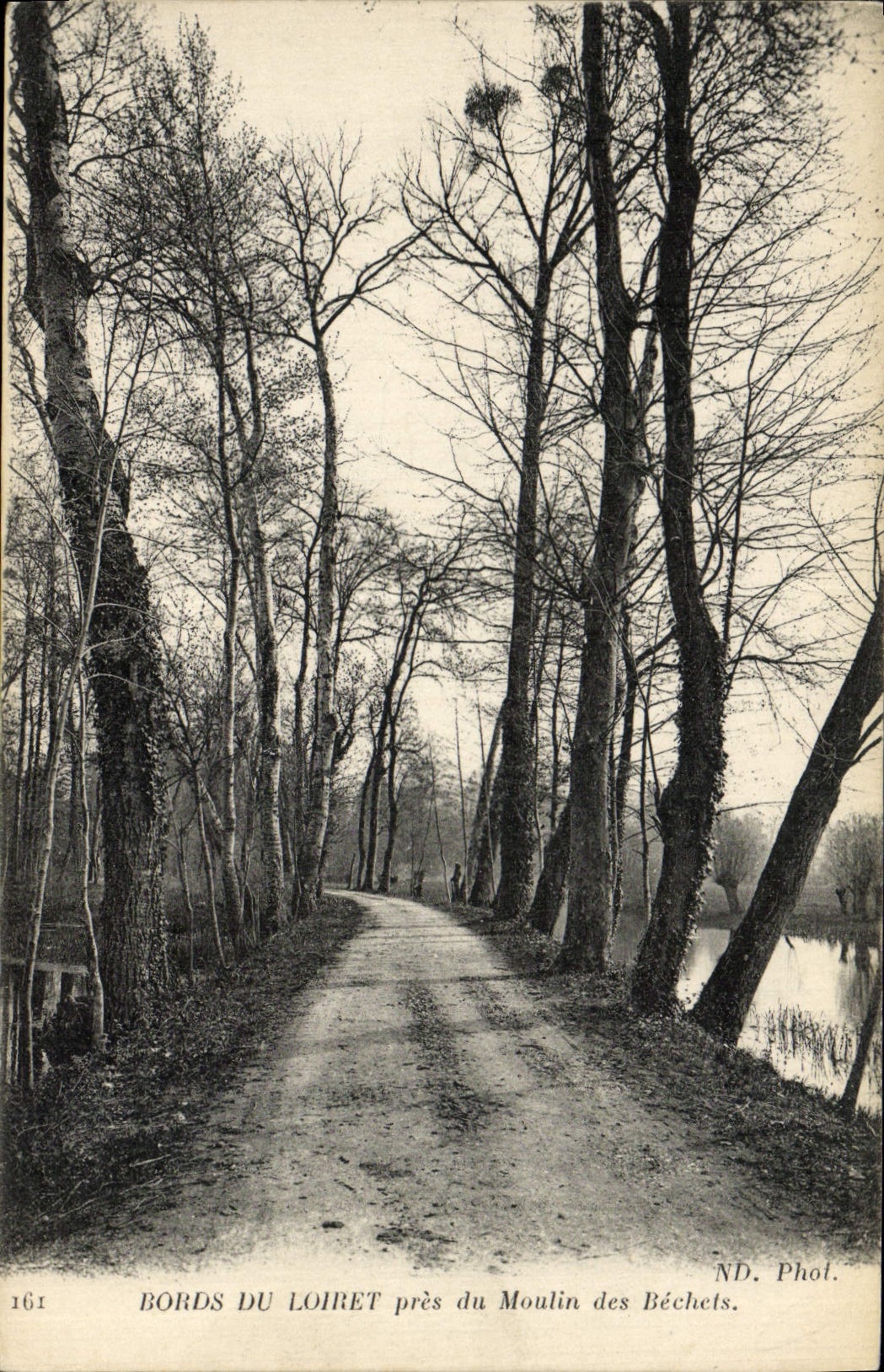 Bords du Loiret près du Moulin des Béchets — ND. Phot. — n° 161