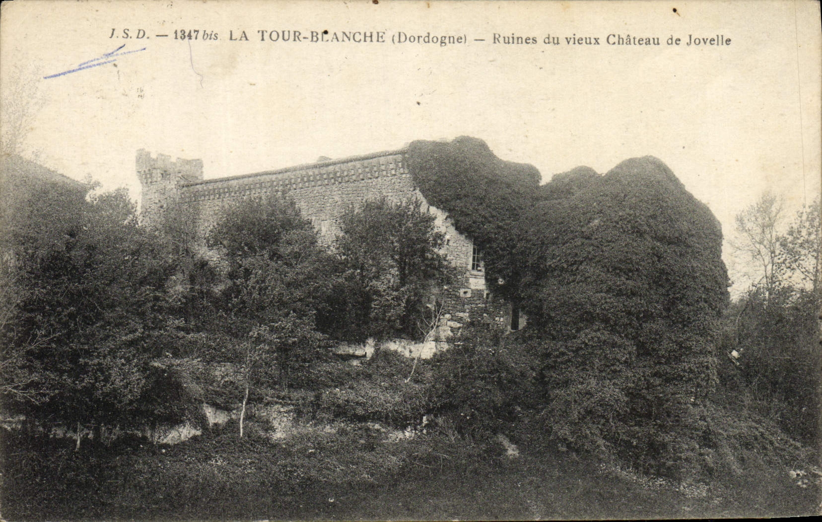 La Tour-Blanche (Dordogne) — Ruins of the Old Château de Jovelle — J.S.D. — 1347 bis