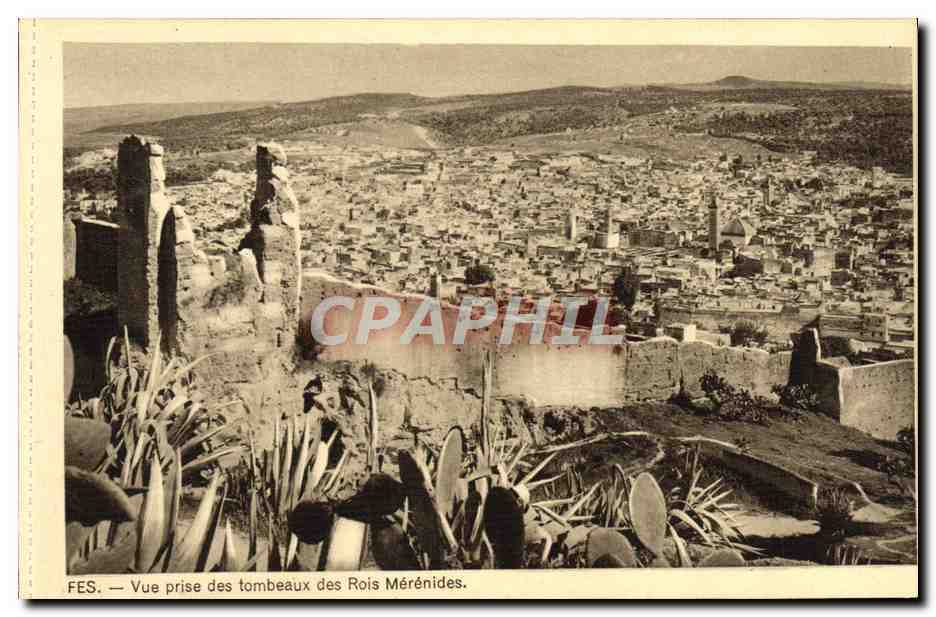 CPA Fes Vue Prise Des Tombeaux Des Rois Merenides