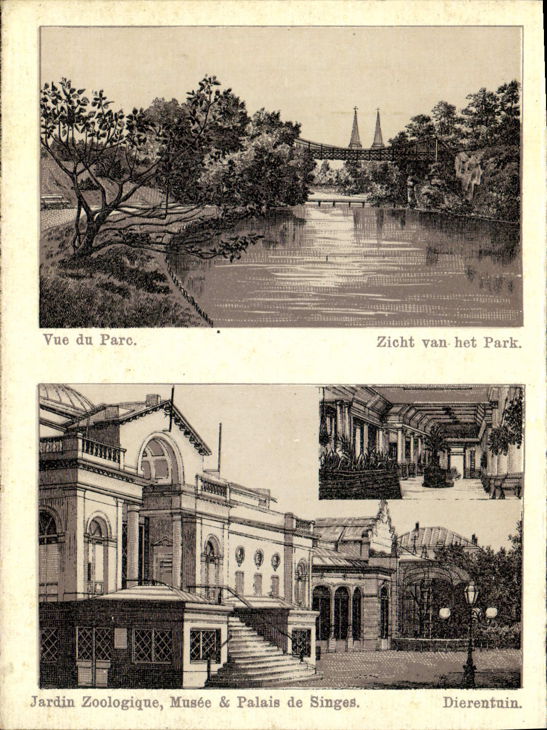 Jardin Zoologique, Musée & Palais de Singes — Vue du Parc — Dierentuin