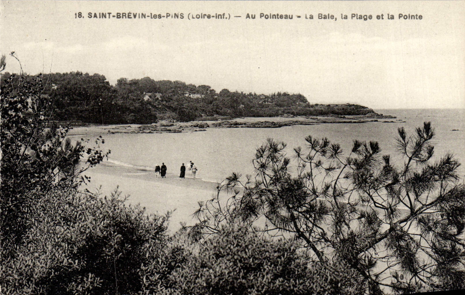 CPA Saint Brevin Les Pins Au Pointeau La Bale La Plage Et La Pointe