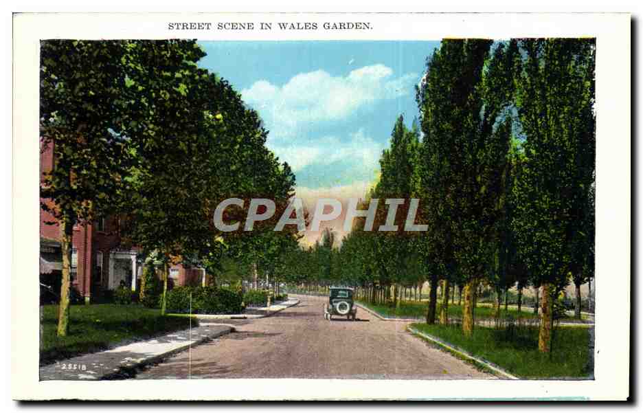 CPA Gervais Street Looking East Street scene in Wales Garden — Rückseite
