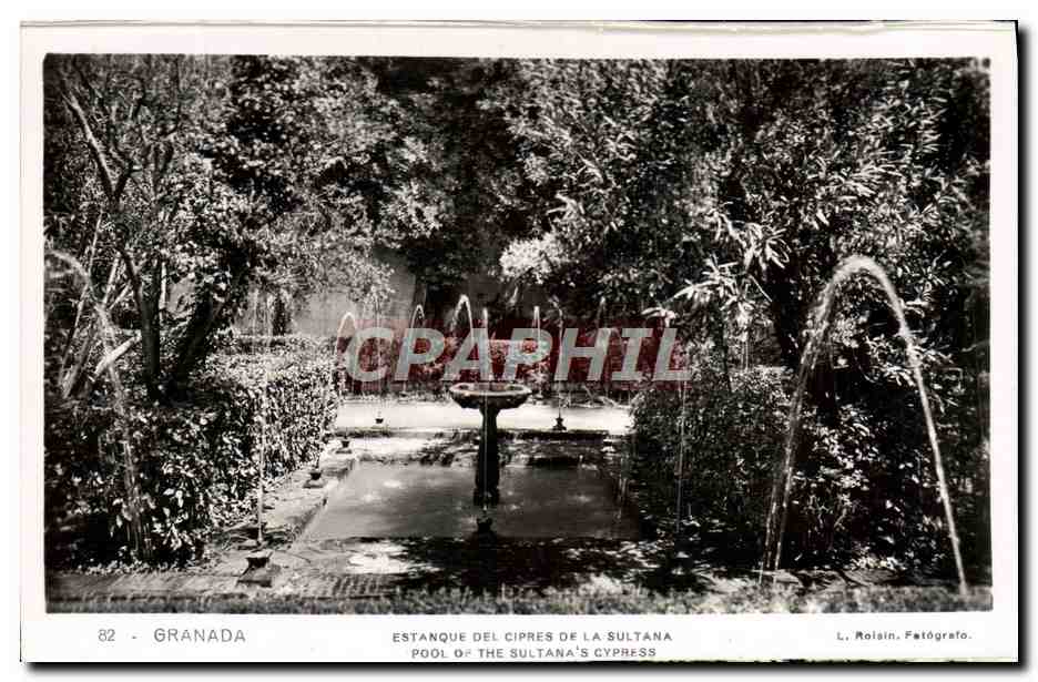 CPA Granada Estanque Del Cipres De La Sultana 