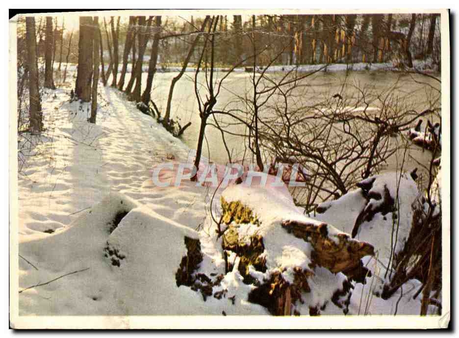CPM Paysage sous la neige
