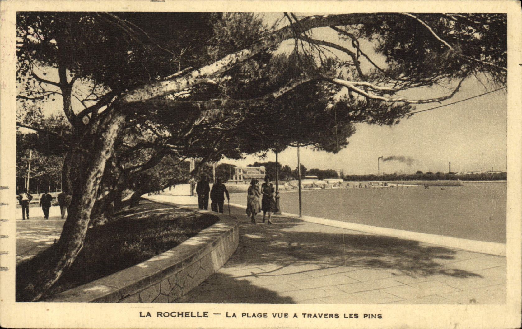 La Rochelle — La plage vue à travers les pins