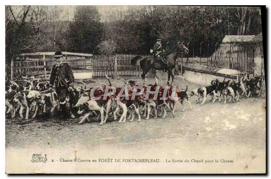 CPA Foret De Fontainebleau La Sortie du Chenil pour la chasse Chasse a courre Chiens