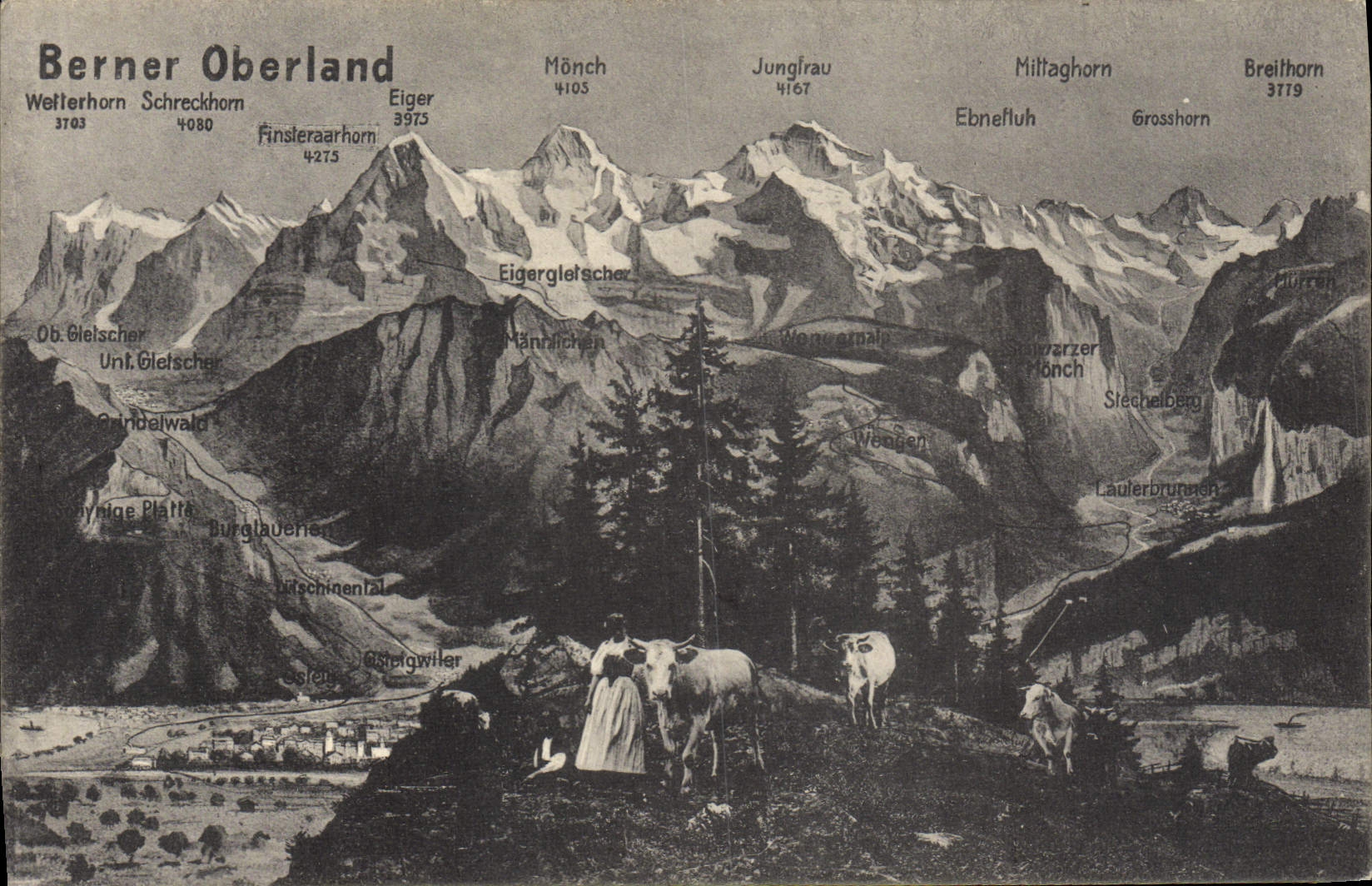 CPA Berner Oberland Femme Vaches