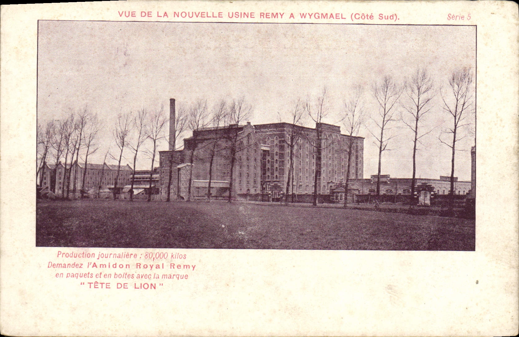 Vue de la nouvelle usine Remy à Wygmael (Côté Sud) — Série 5