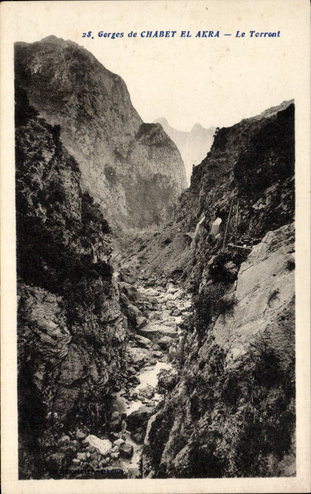 CPA Gorges De Chabet El Akra Le Torrent