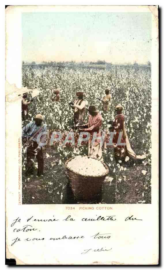 CPA Picking Cotton