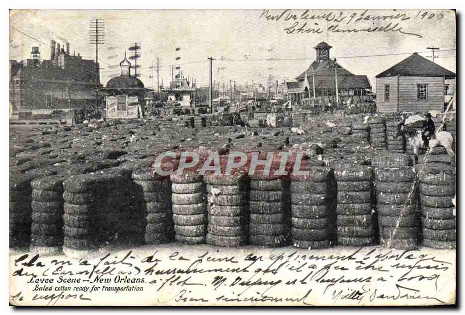 CPA Levee Scene New Orleans Baled Cotton Ready Fort Transportation