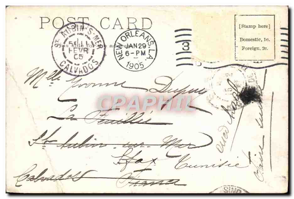 CPA Levee Scene New Orleans Baled Cotton Ready Fort Transportation — Rückseite
