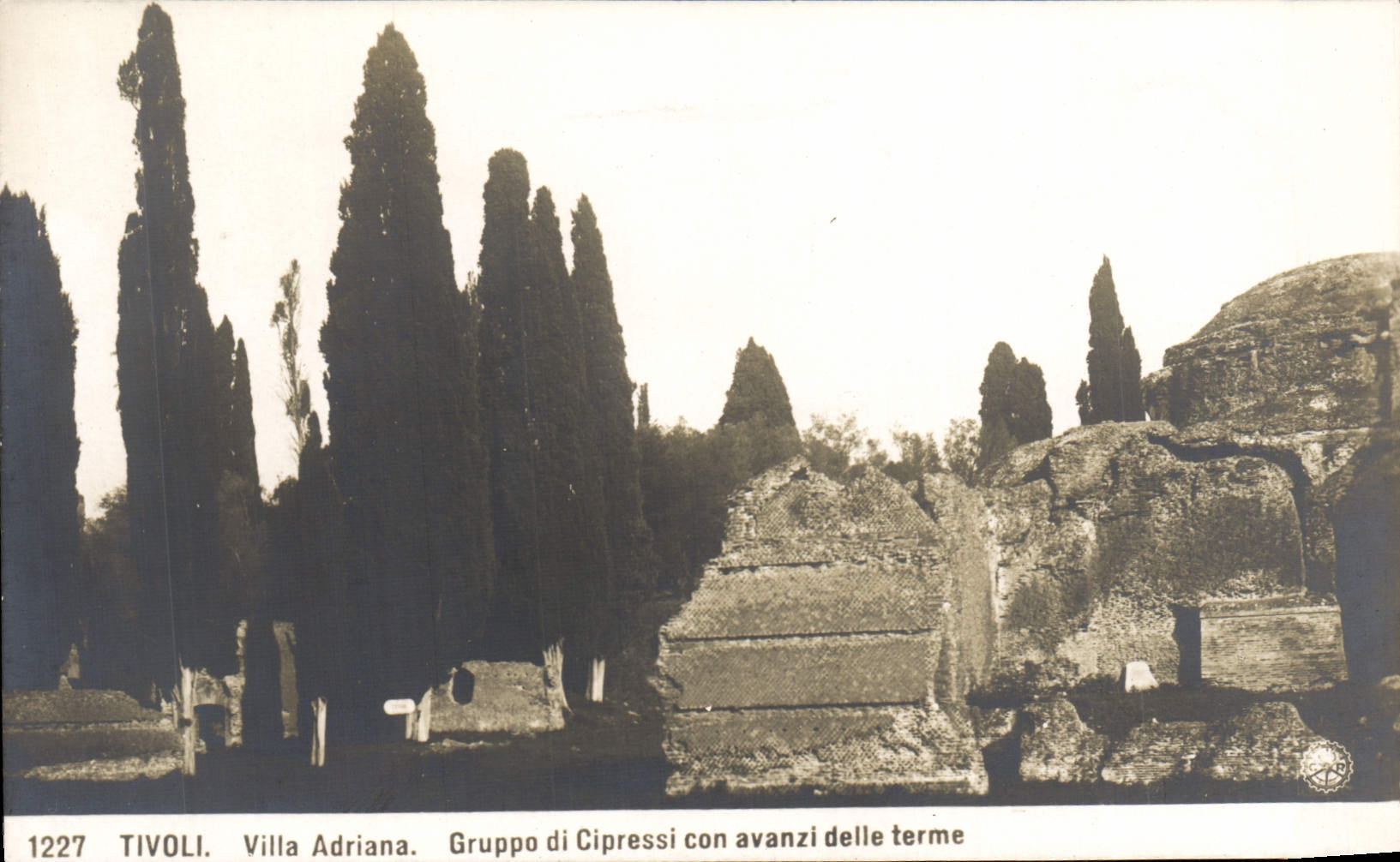 CPA Tivoli Villa Adriana Gruppo di Cipressi Con Avanzi delle terme