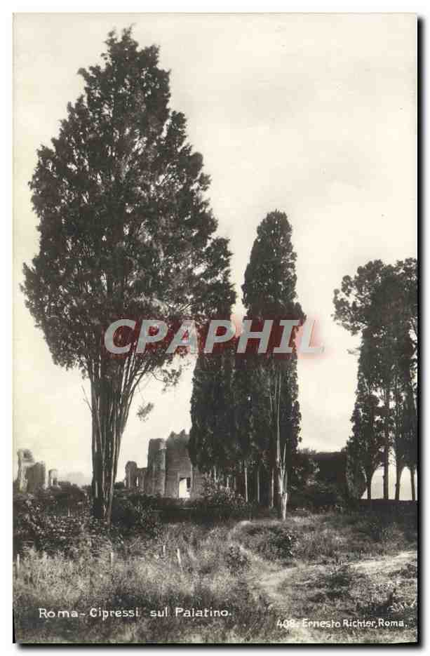 CPA Roma Cipressi sul palatino