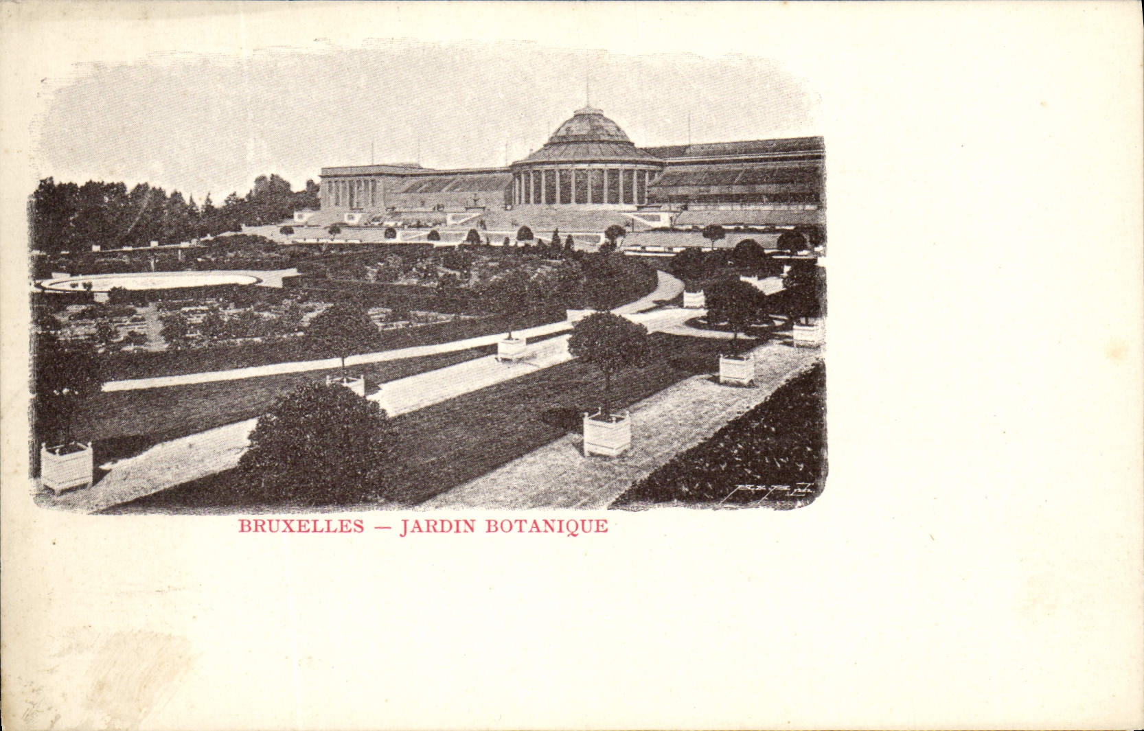 CPA Bruxelles Jardin Botanique