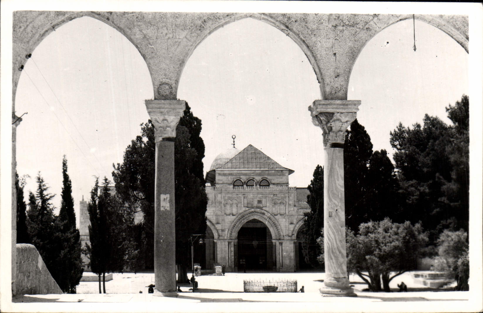 CPM Mosque Of El Alea Est