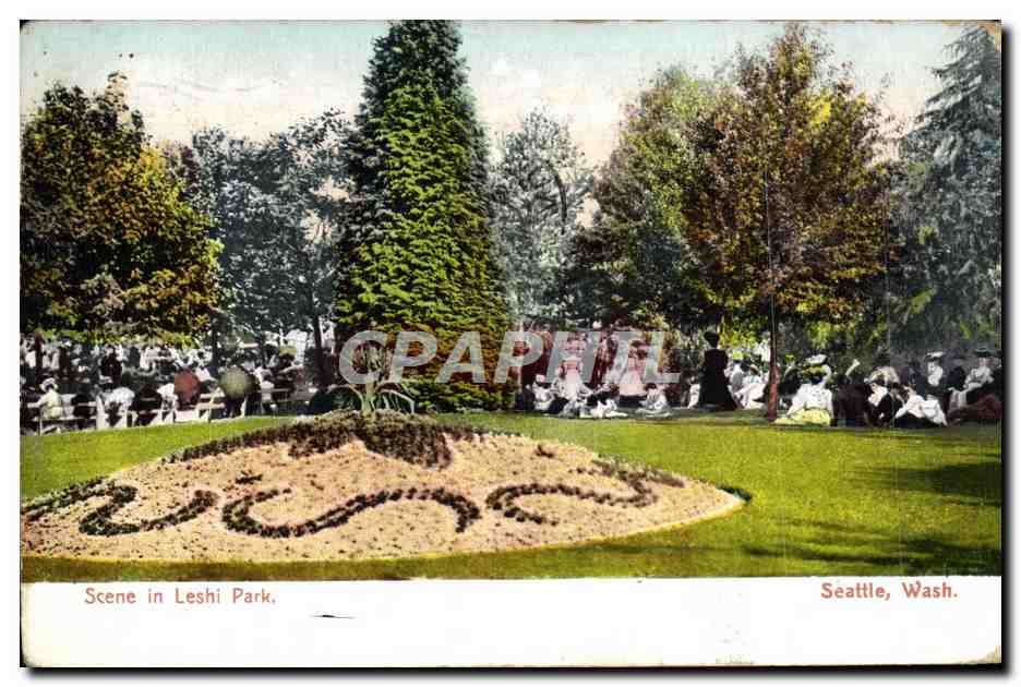 CPA Scene In Leshi Park Seattle Wash