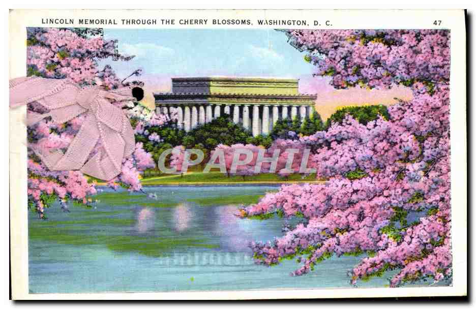 CPA Lincoln Memorial Through The Cherry Blossoms Washington D C