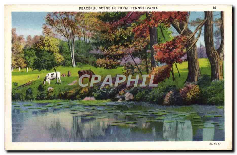 CPA Peaceful Scene In Rural Pennsylvania
