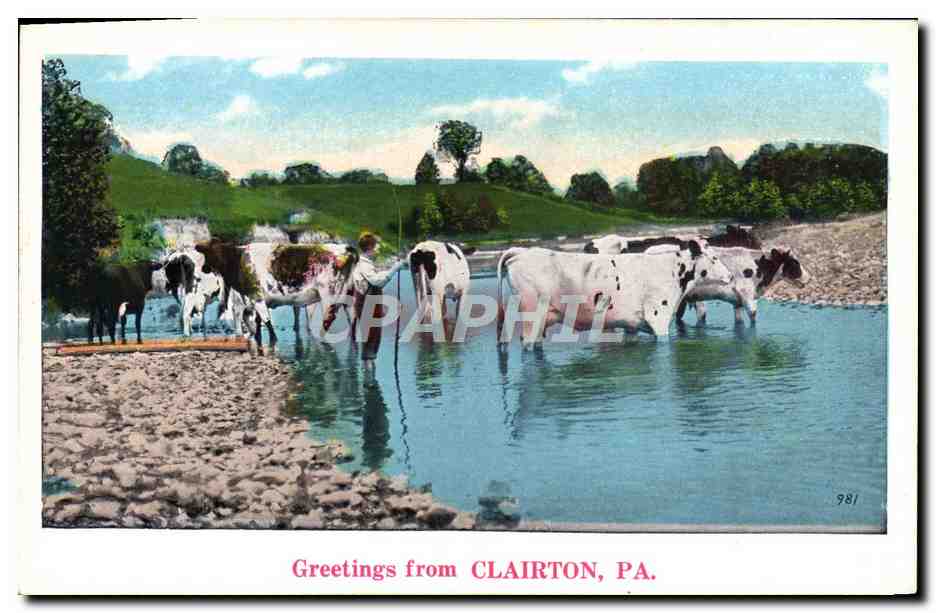CPA Greetings From Clairton Pa Enfant Vaches