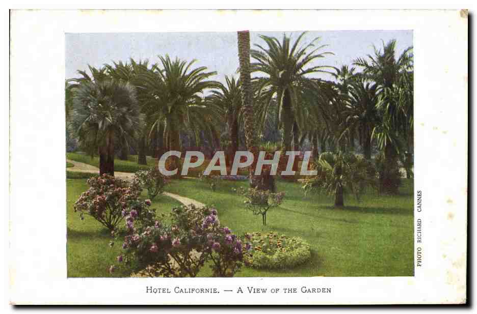 CPA Hotel Californie A View Of The Garden
