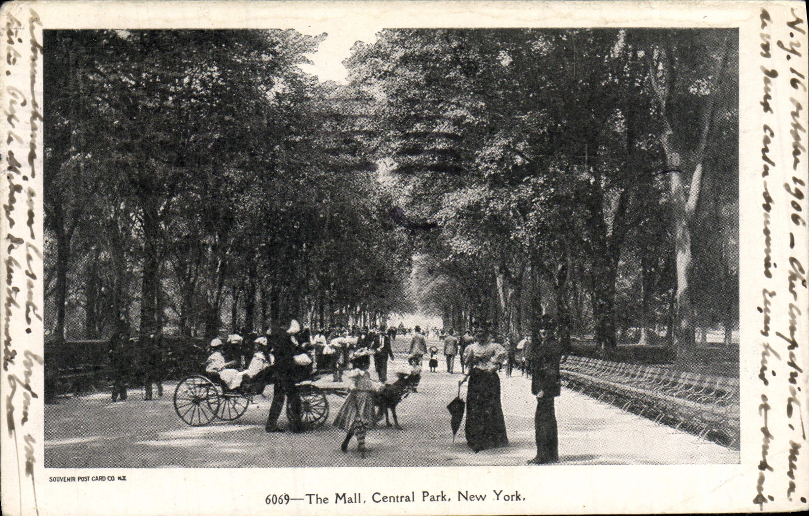CPA The Hall Central Park New York Voiture a chevre
