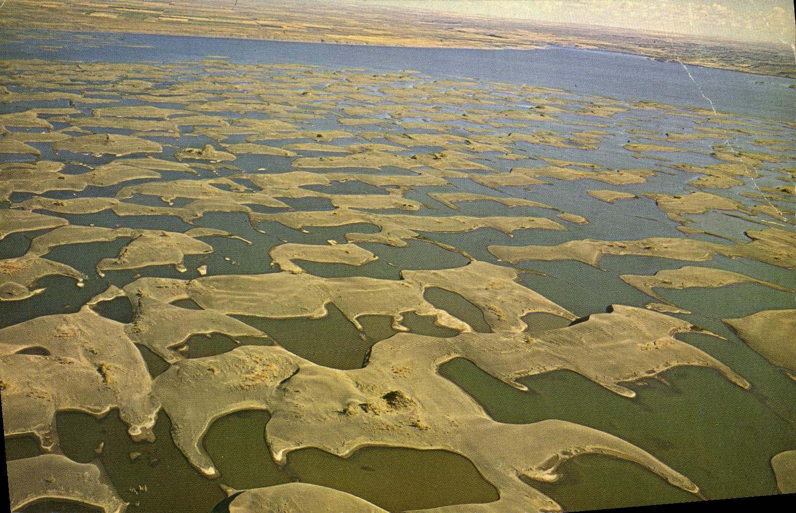 CPA Sand Dunes At Potholes Reservoir Washington