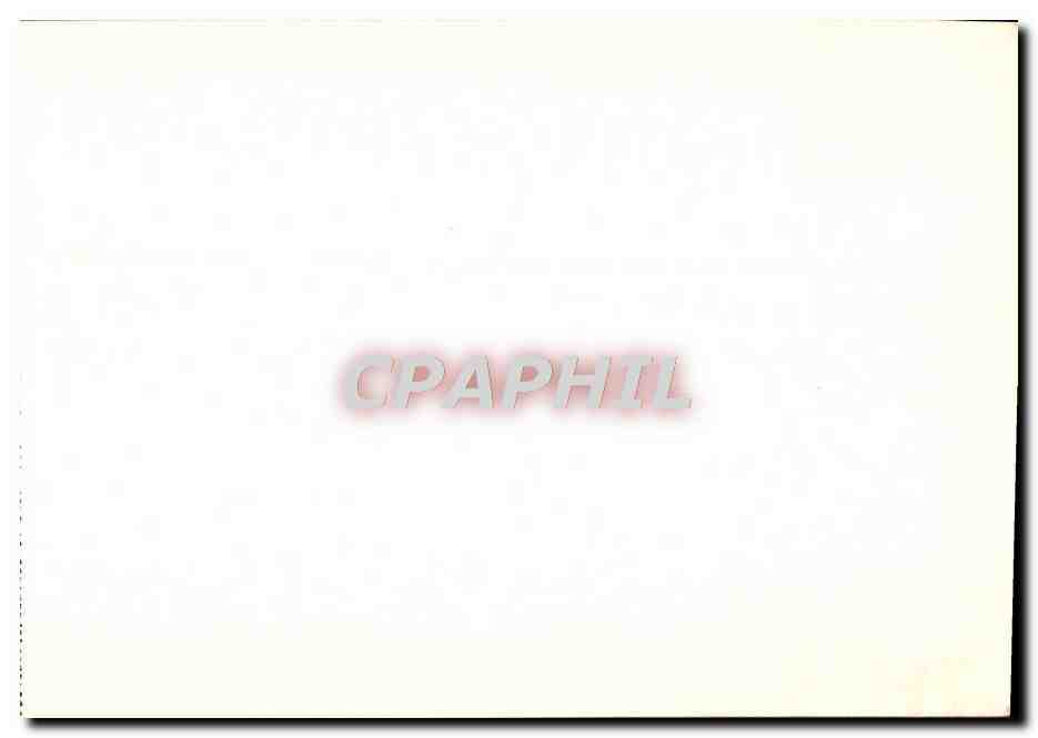 CPA Grand Format Cite De Carcassonne Chateau feodal Fonde Par le Comte Roger 1er 28 * 23 cm — Rückseite
