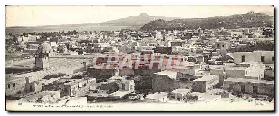 CPA Grand Format Tunis Panorama D'Hammam Et Life Vue Prise De Dar El Bey 28 * 11 cm