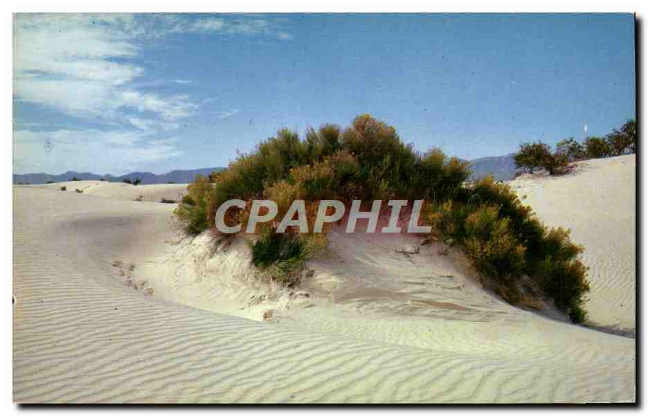 CPM White Sands National Monument New Mexico
