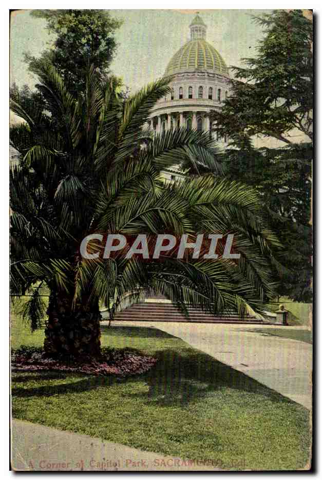 CPA A Sorner Of Capital Park Sacramento