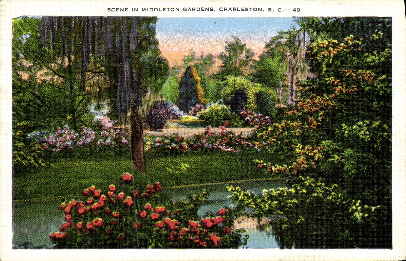 CPA Scene in Middleton Gardens Charleston S C