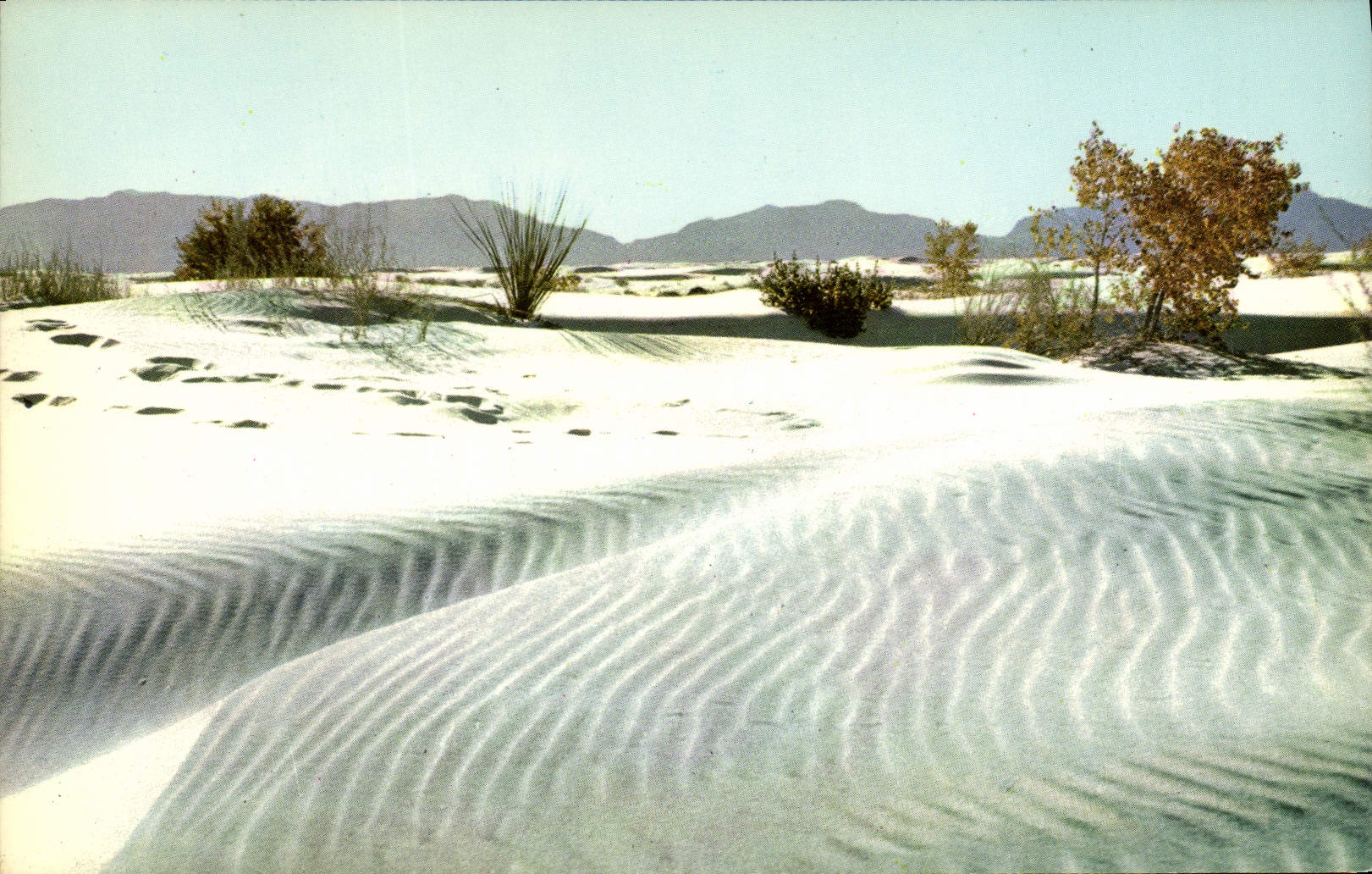 CPM Ripples Of White Sands White Sands National Monument New Mexico