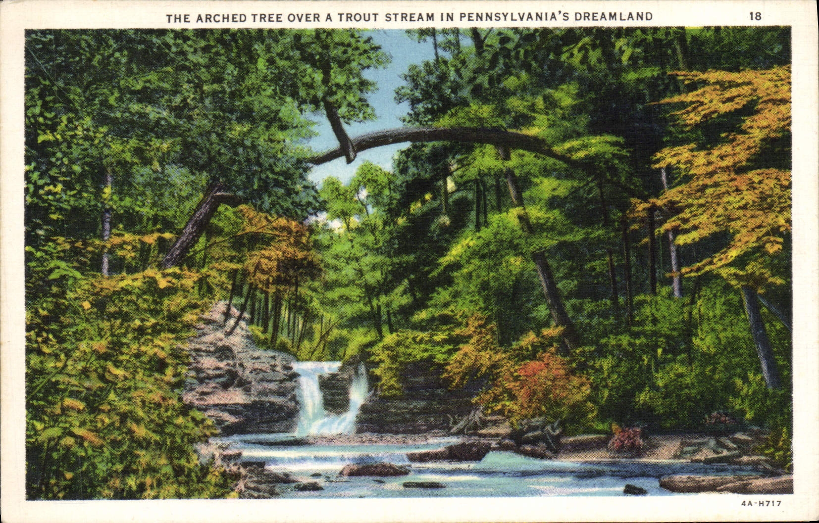 CPA The Arched Tree Over A Trout Stream In Pennsylvania's Dreamland