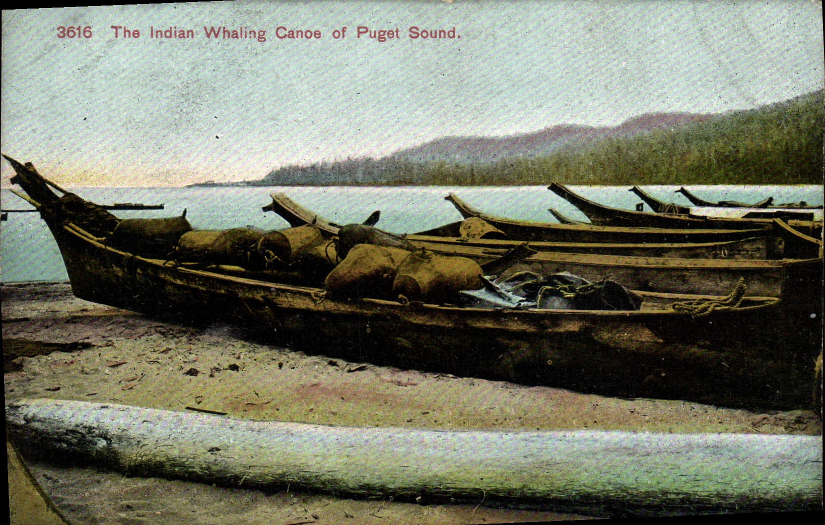 Canoe de chasse à la baleine des Indiens de Puget Sound — série 3616 — Adolph Selige Publishing Co.