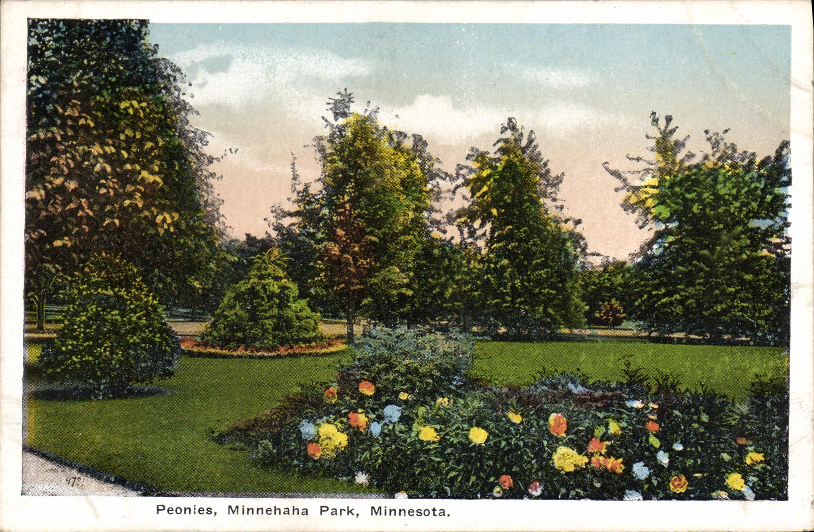 CPA Peonies Minnehaha Park Minnesota
