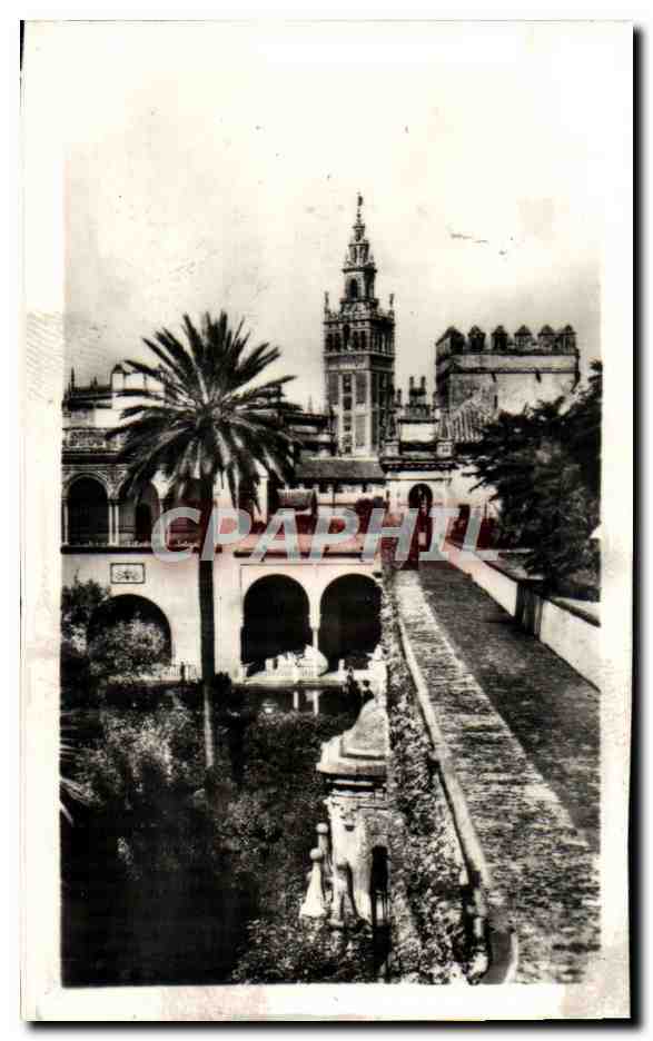 CPM Sevilla La Giralda Desde Los Reales Alcazares La Giralda Des l'Alcazar Royal