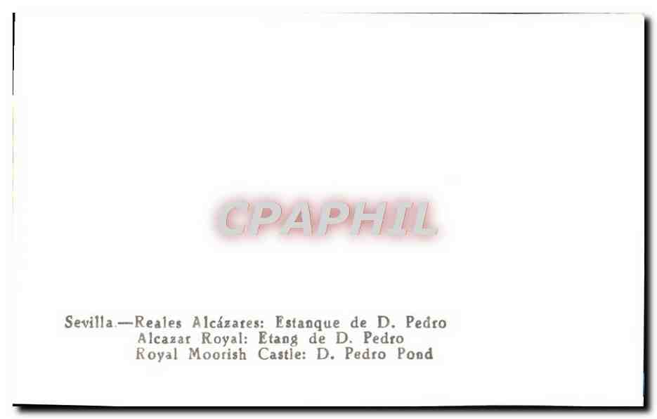 CPM Sevilla Reales Alcazares Estanque De D Pedro Alcazar Royal Etang De D Pedro — Verso