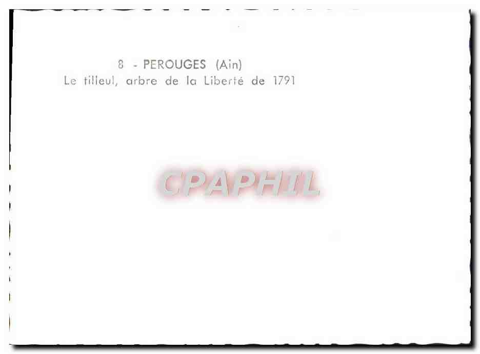 Perouges (Ain) — Le tilleul arbre de la Liberté de 1791 — CPAPHIL n°8 — Reverso