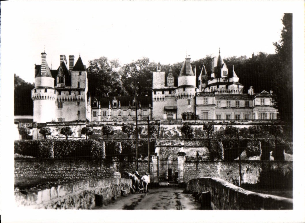 CPM Le Chateau De Rigny Usse La Facade Sur Les Terrasses